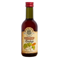 Benediktinský bylinný extrakt GINKGO 290 g 