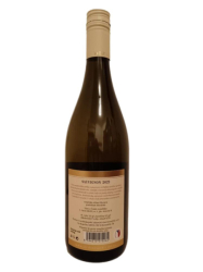 Sauvignon - 2023, suché, pozdní sběr, mešní víno, AZVK 